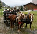 JAHR 2007
